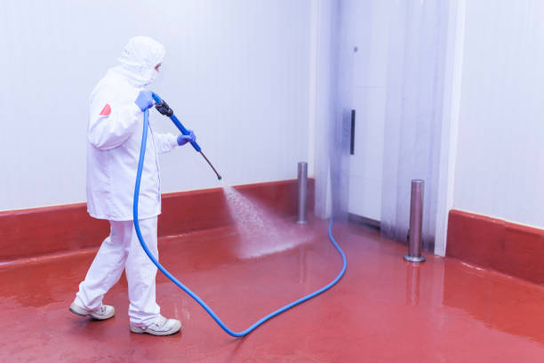 Best Rust Removal  in Manhasset Hills, NY